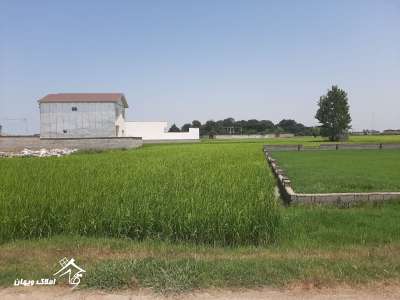 خرید 300 متر زمین با بافت زراعی در محمودآباد